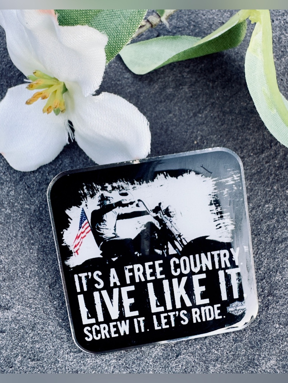 Harley Davidson Hat/Vest Pin Black & White American flag “It Is Free Country”